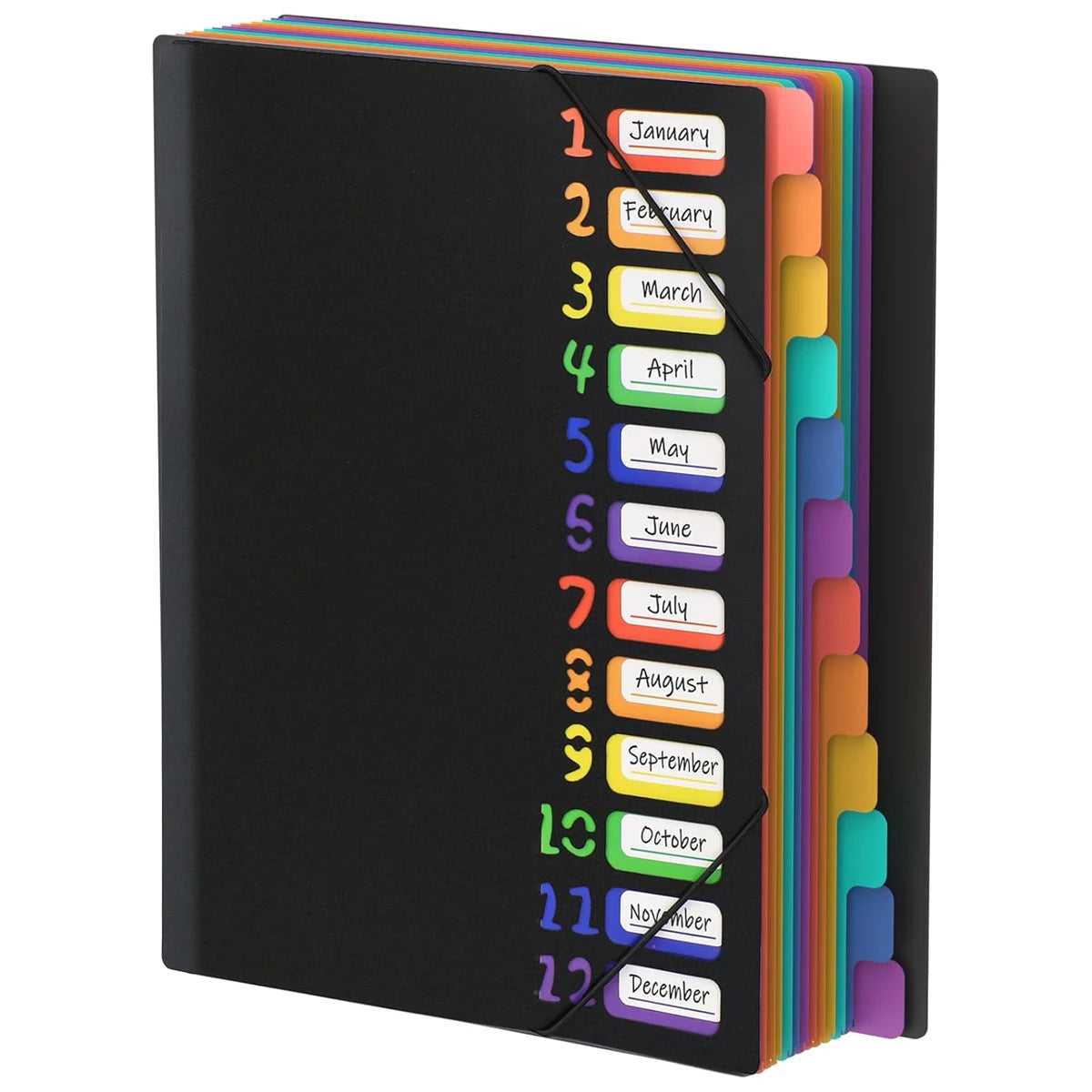 Color Tab A4 File Folders with Monthly Dividers - Durable Organizer, Coded Calendar System, Black Sturdy Cover